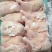 500天左右种母鸡排腿