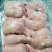 500天左右种母鸡排腿