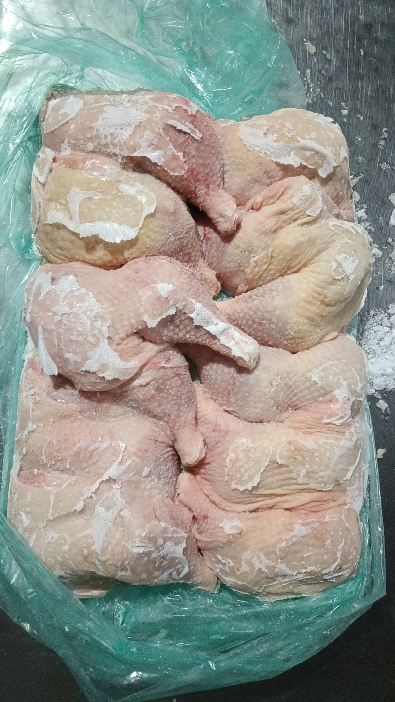 500天左右种母鸡排腿
