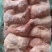 500天左右种母鸡排腿