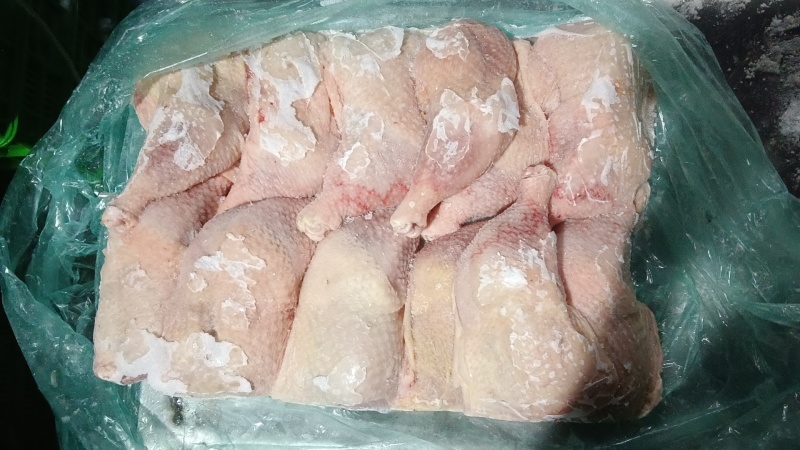 500天左右种母鸡排腿