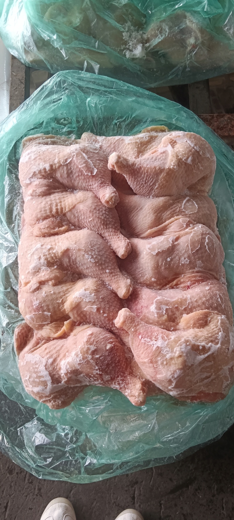 500天左右种母鸡排腿