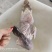 双黑麻鸭