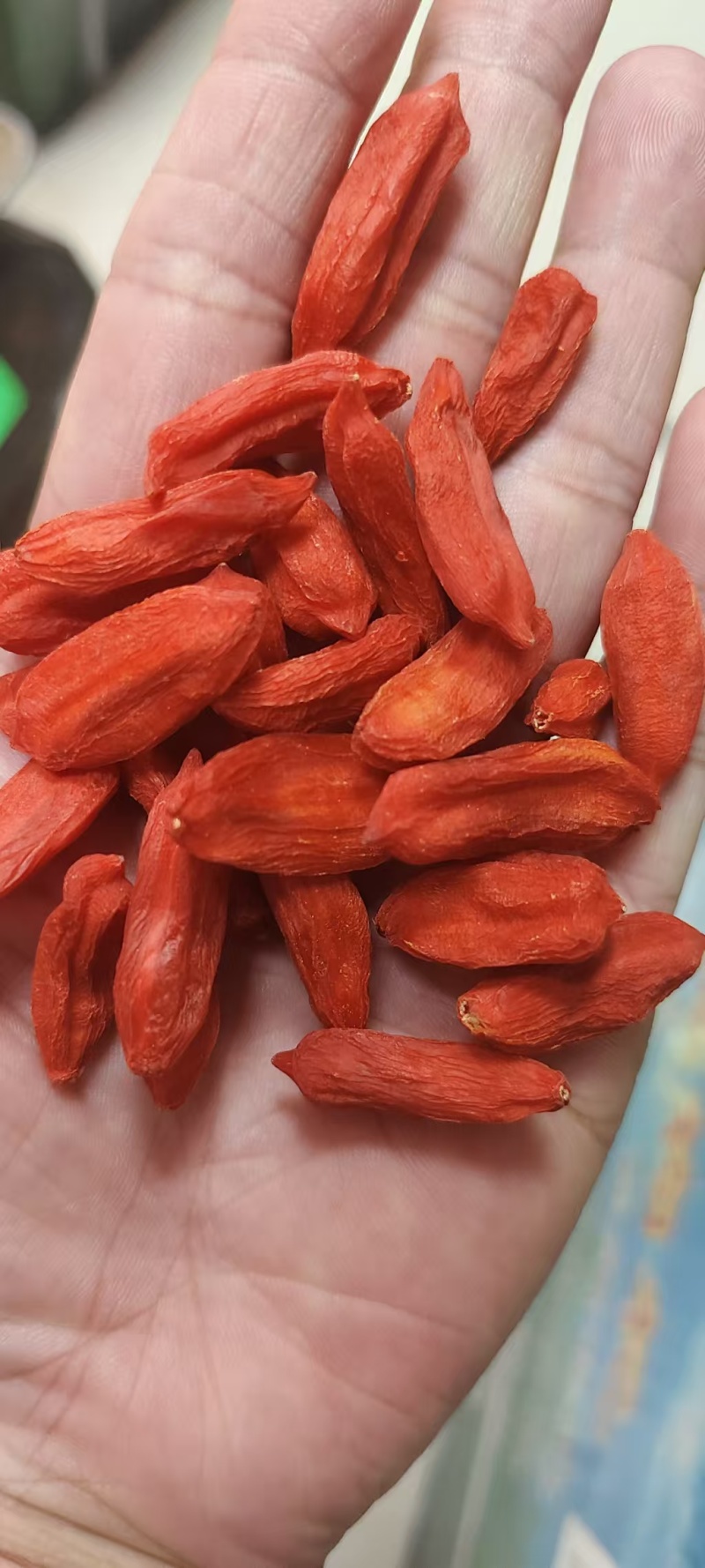 宁夏枸杞无硫，可煲汤泡水喝，大量精品，支持批发零售