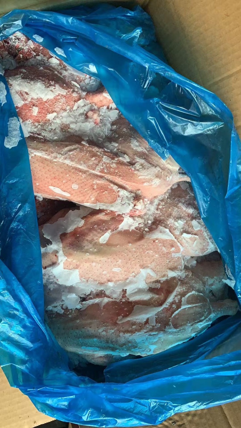 二级半片鸭5吨