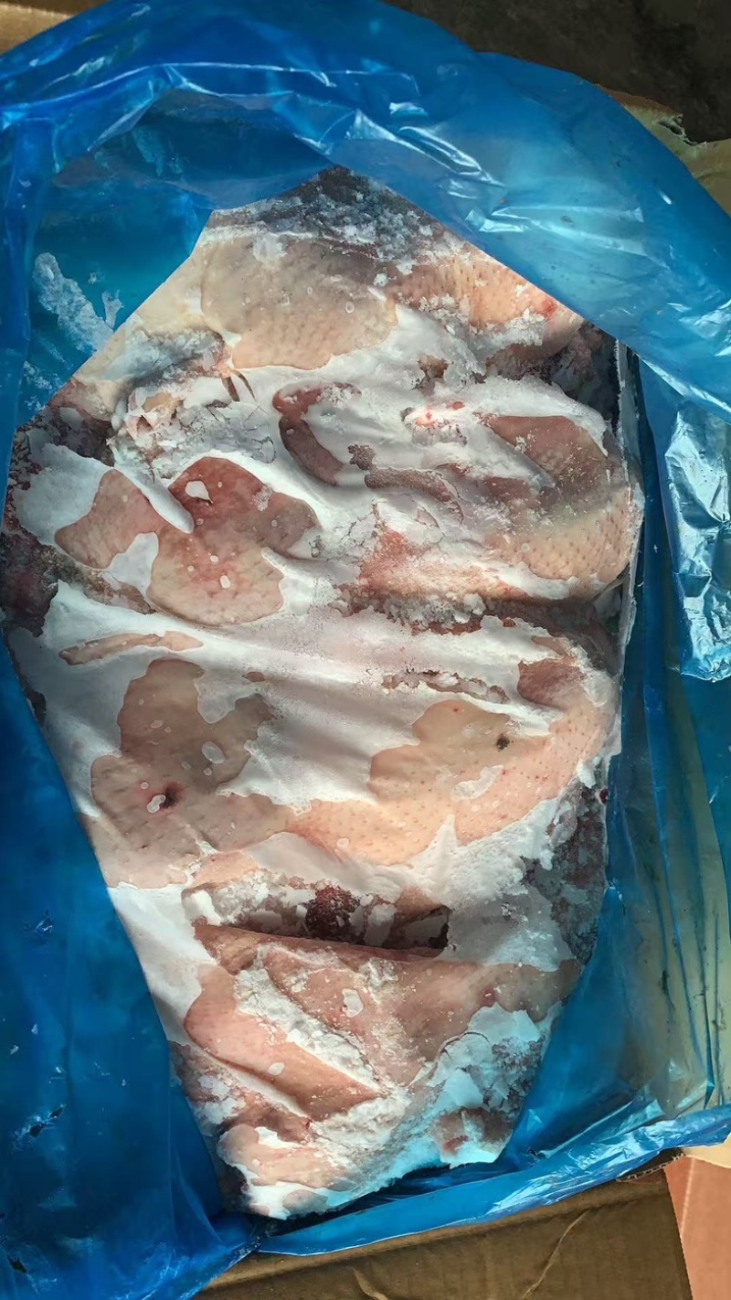 二级半片鸭5吨