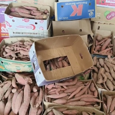 烟薯25号，就是便宜