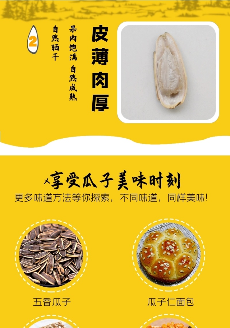 【包邮】2024新货葵花籽大颗粒原味五香炒熟生葵瓜子
