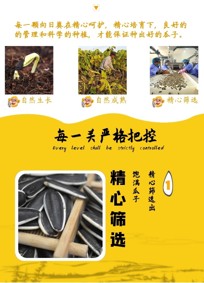 【包邮】2024新货葵花籽大颗粒原味五香炒熟生葵瓜子