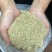 小米粗糠