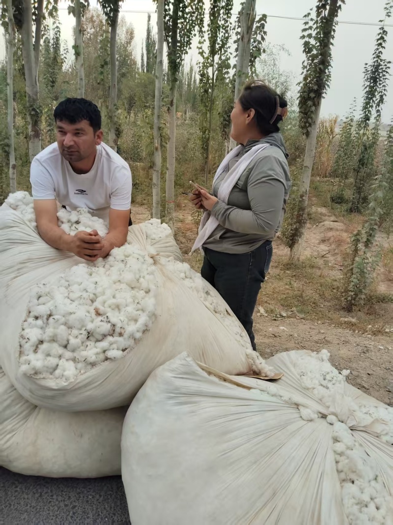 新疆棉花基地直发货源充足价格优惠可视频看货欢迎致电