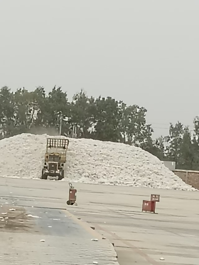 新疆棉花基地直发货源充足价格优惠可视频看货欢迎致电
