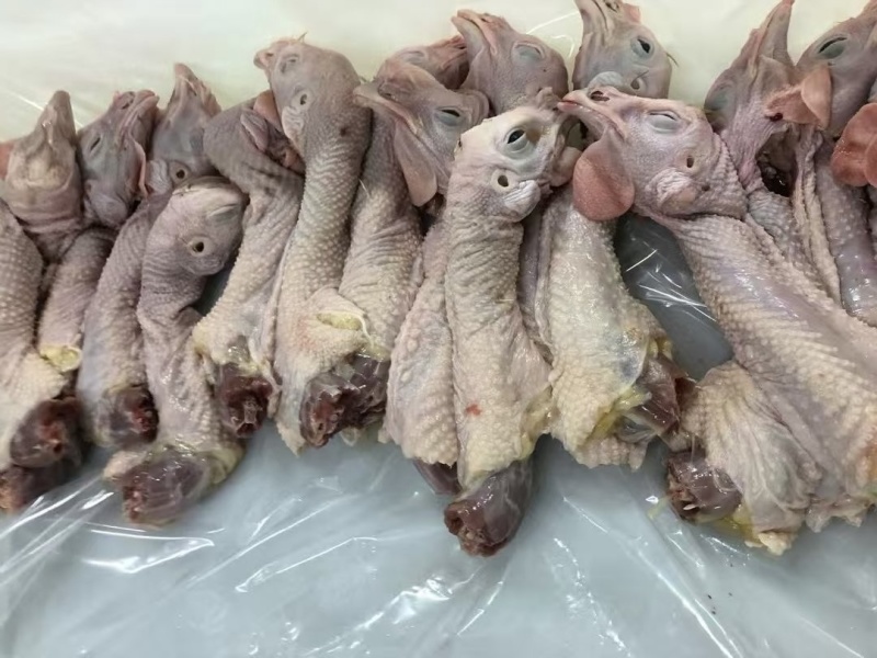 老母鸡头脖