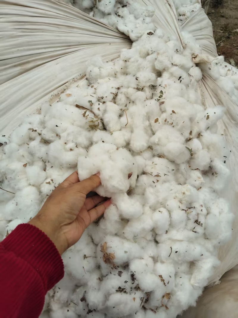 新疆棉花自产自销货源充足价格优惠可视频看货欢迎下单