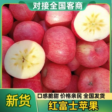 红富士苹果山西苹果大量有货对接全国口感甜脆可视频看货