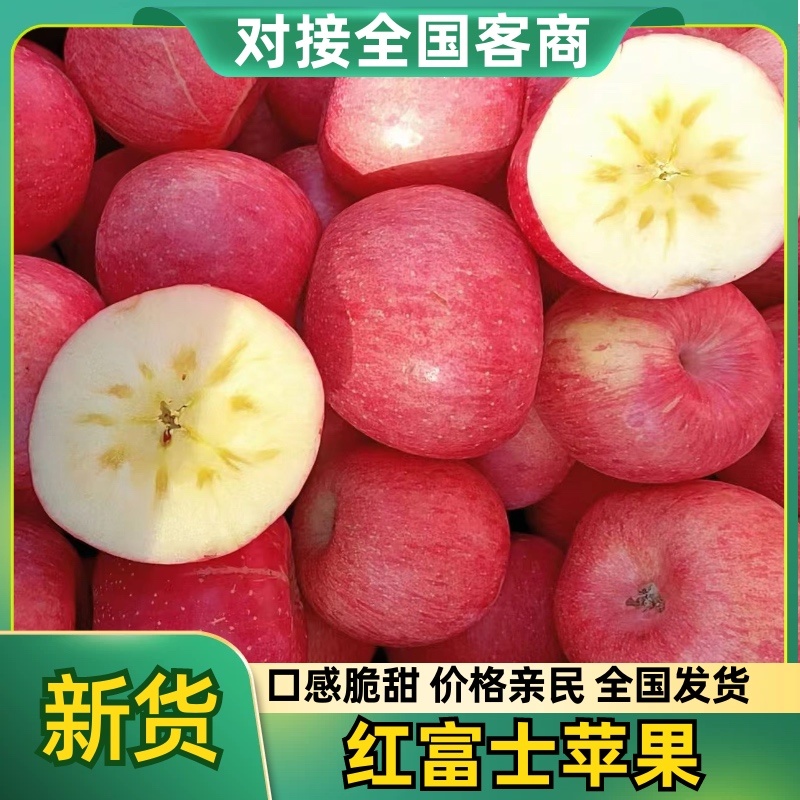 红富士苹果山西苹果大量有货对接全国口感甜脆可视频看货