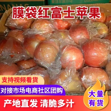 苹果山西膜袋红富士苹果大量有货，产地直发，可视频看货