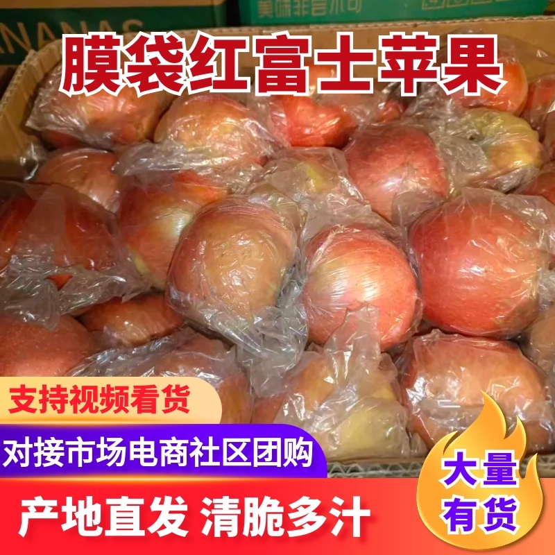 苹果山西膜袋红富士苹果大量有货，产地直发，可视频看货