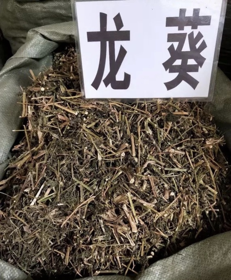 龙葵