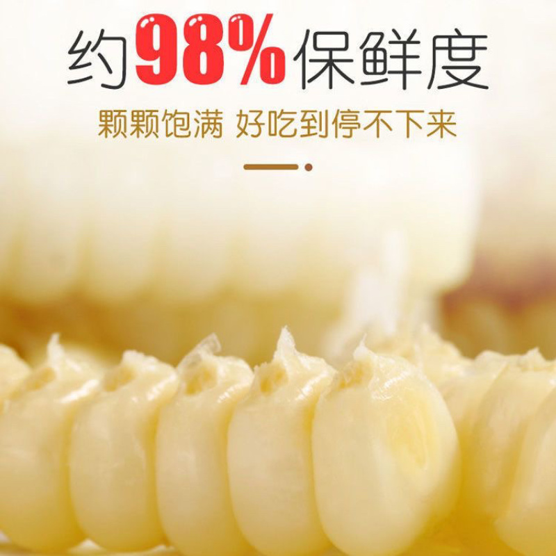 白糯玉米/糯玉米/产区直发/大量有货