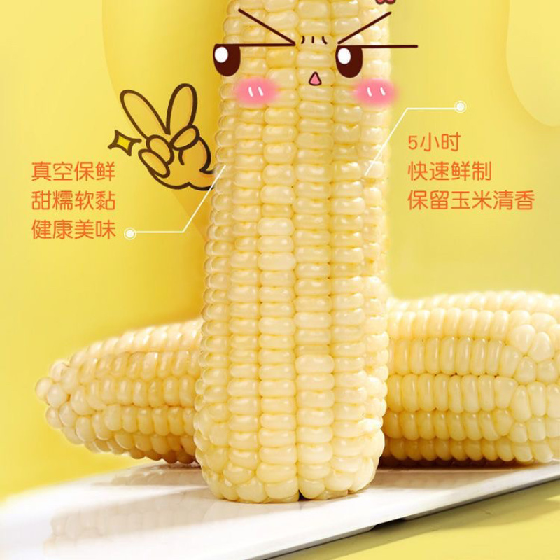 白糯玉米/糯玉米/产区直发/大量有货