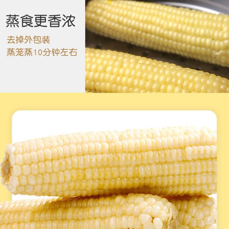 白糯玉米/糯玉米/产区直发/大量有货