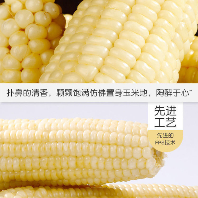 白糯玉米/糯玉米/产区直发/大量有货