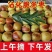 精品沾化冬枣