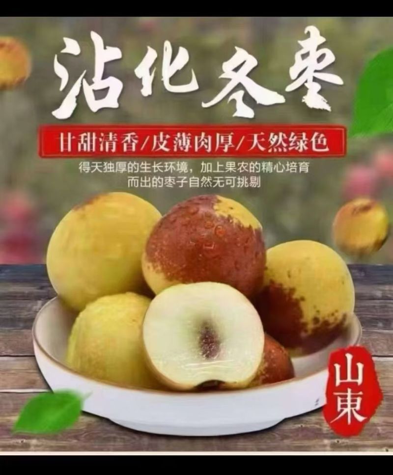 精品沾化冬枣