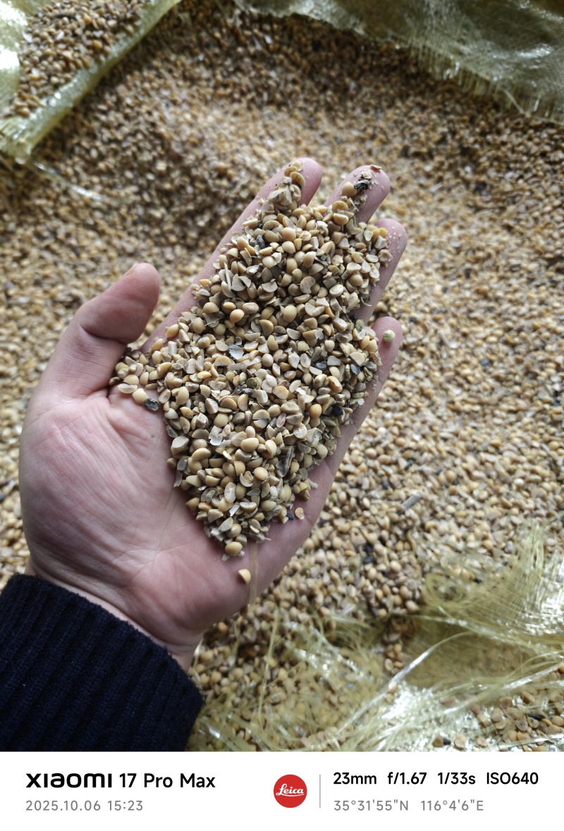 山东郓城国产碎豆瓣，黄大豆粮油原料，适用于养殖上地使用
