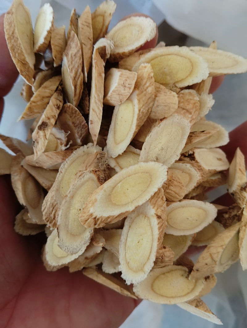甘肃黄芪片