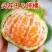 丑橘丑八怪不知火丑橘电商一件代发24小时揽收