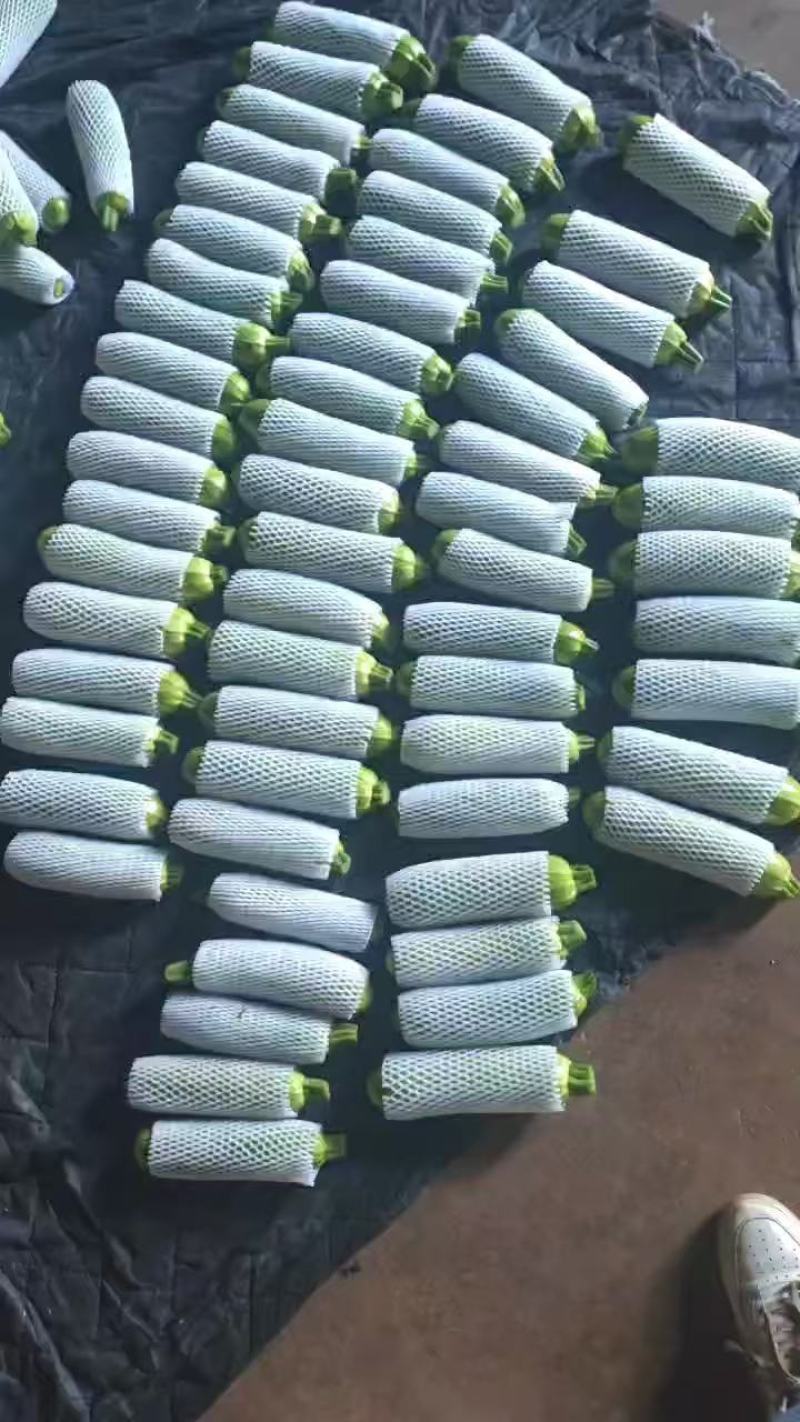 绿皮西葫芦大量上市，产地直发品质保证服务周到