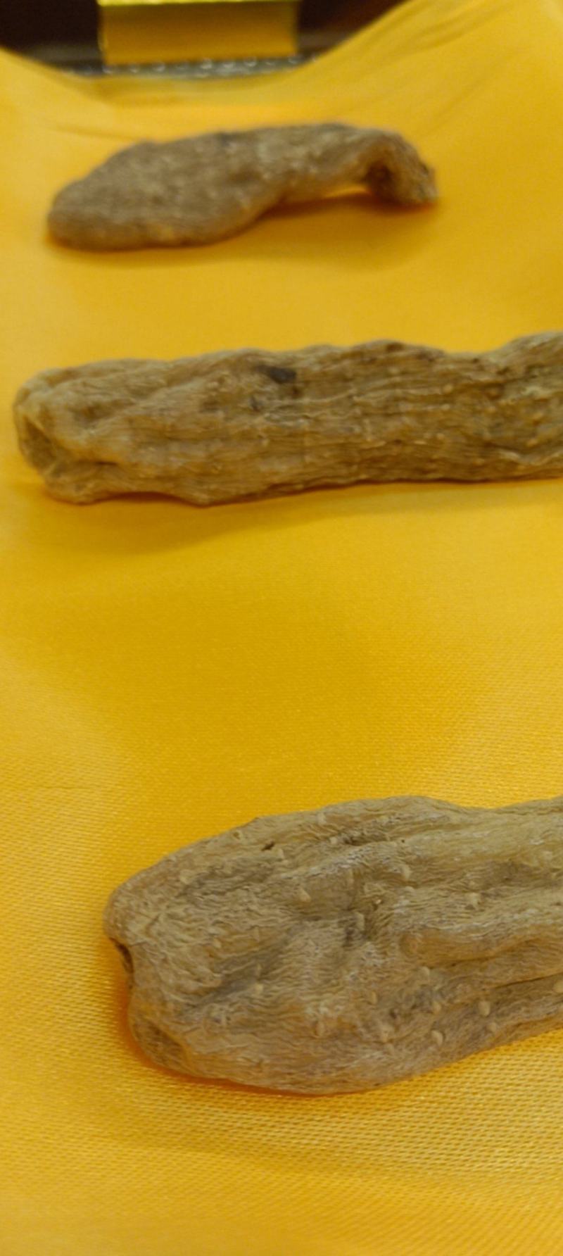 小天麻广西南宁生蚨堂健康滋补专卖店