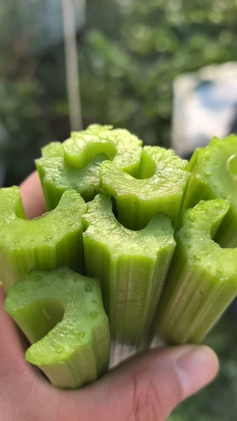 山东甜芹西芹对接市场商超批发欢迎致电