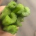 山东甜芹西芹对接市场商超批发欢迎致电