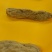 小天麻广西南宁生蚨堂健康滋补专卖店