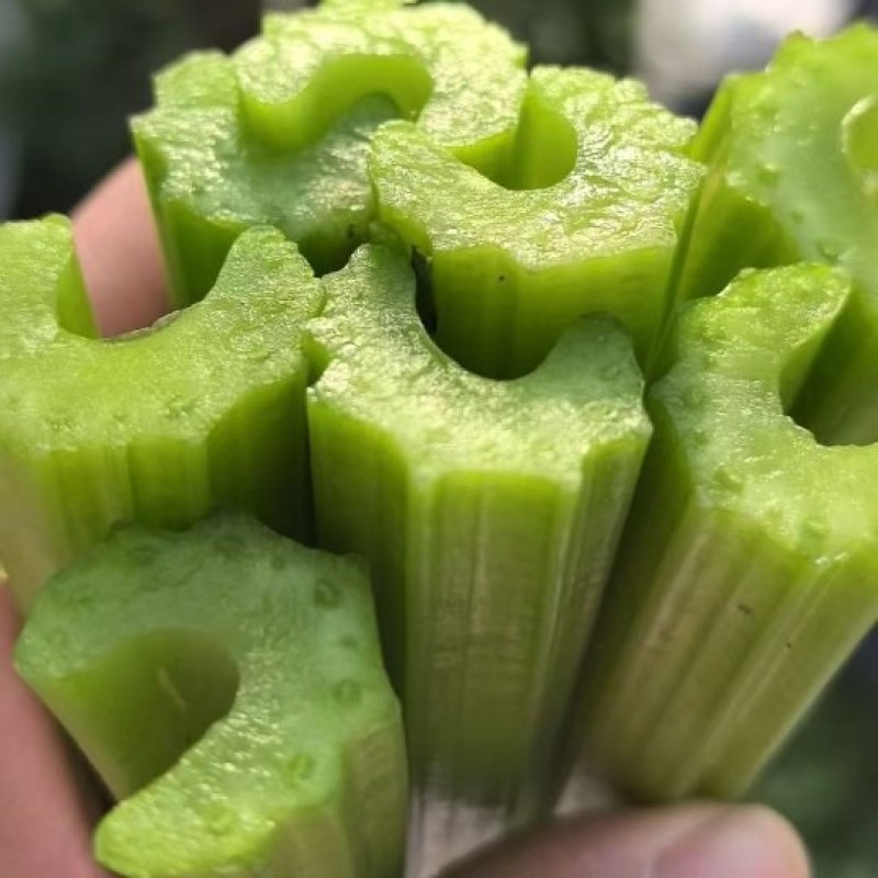 山东甜芹西芹对接市场商超批发欢迎致电