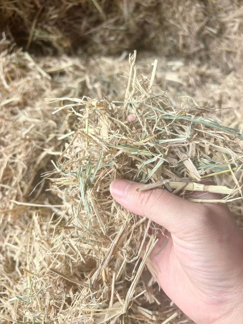 稻草，常年有货，只做品质，专业供应七八年