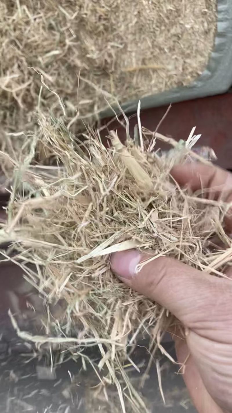稻草，常年有货，只做品质，专业供应七八年