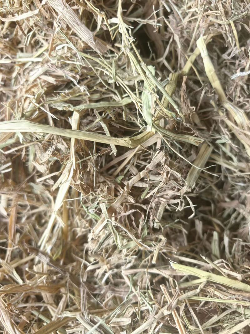 稻草，常年有货，只做品质，专业供应七八年