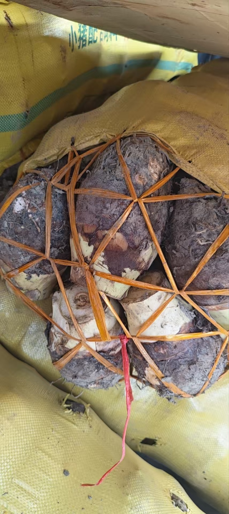 江西赣州中芋头货源充足/精品中芋头产地发货量大从优