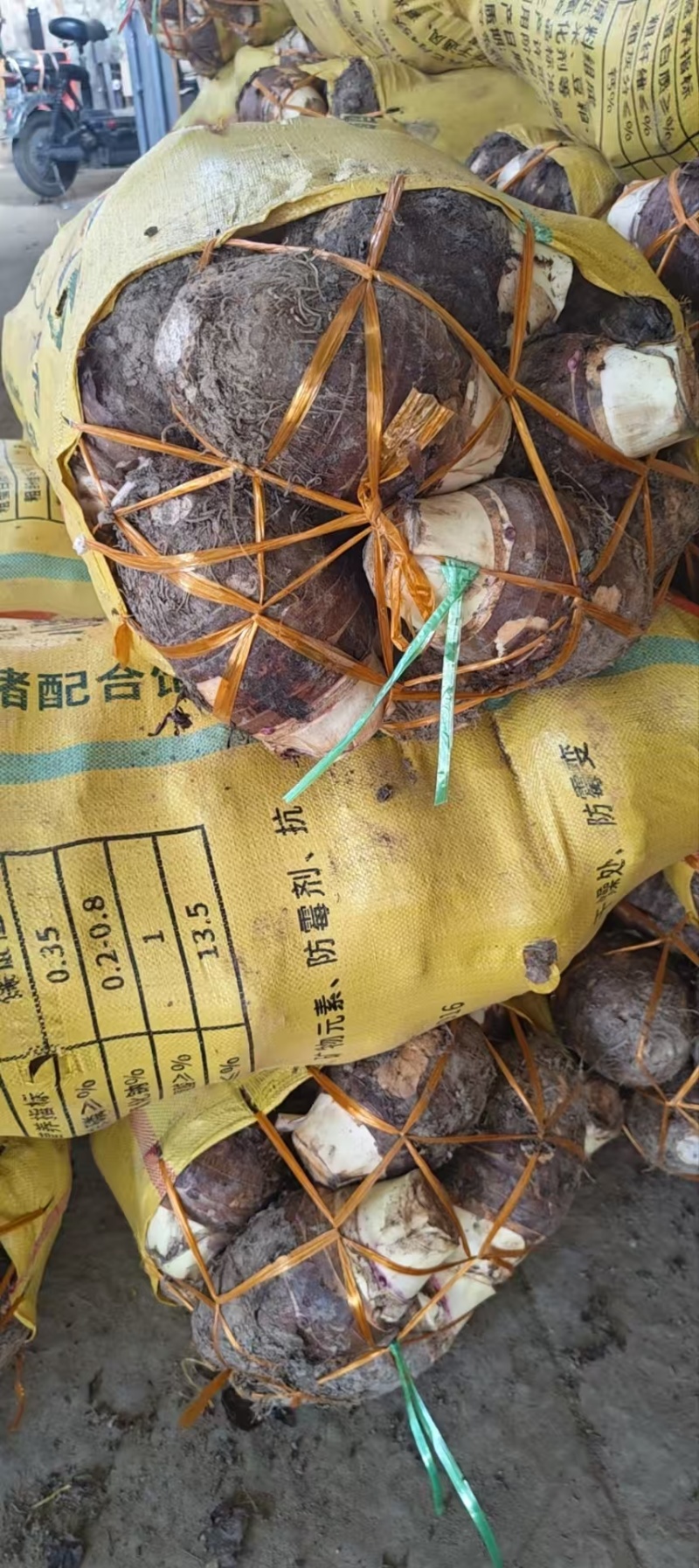 江西赣州中芋头货源充足/精品中芋头产地发货量大从优