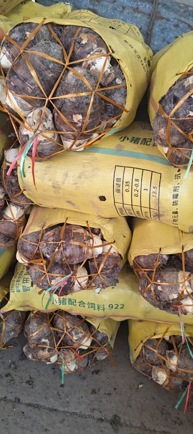 江西赣州小芋头一手货源对接全国/精品小芋头量大从优