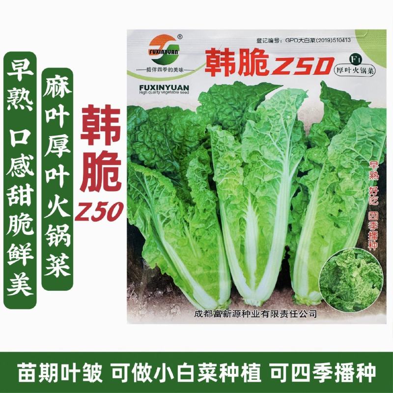 美味厚叶火锅菜种子韩脆Z50皱叶小白菜种子春秋四季麻叶菜