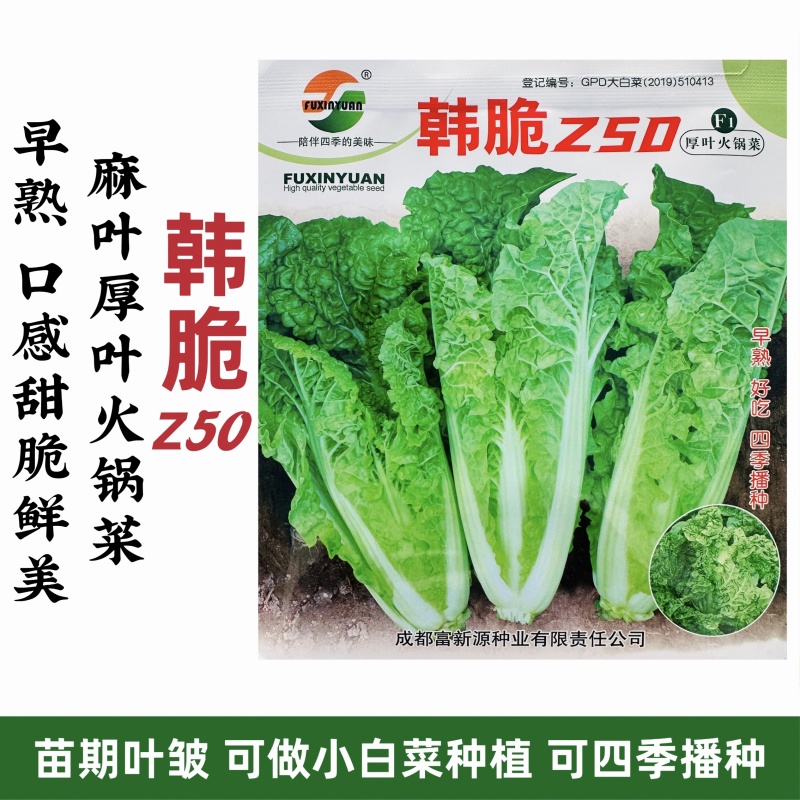 美味厚叶火锅菜种子韩脆Z50皱叶小白菜种子春秋四季麻叶菜