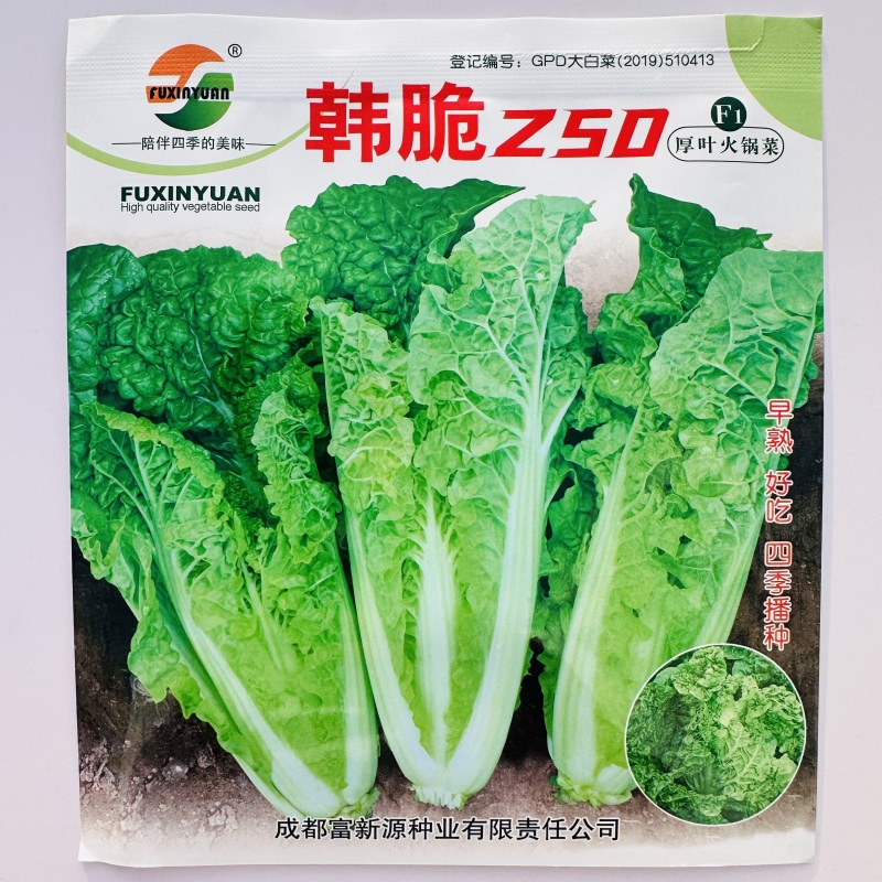 美味厚叶火锅菜种子韩脆Z50皱叶小白菜种子春秋四季麻叶菜