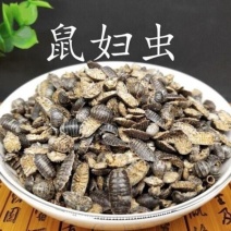 鼠妇虫中药材鼠妇虫手工挑选无硫中药材合作共赢