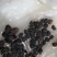 牵牛花种子喇叭花室外爬藤爬墙花卉混色开花不断盆栽易活播种