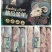 晟祥精品羊肉卷肥羊卷